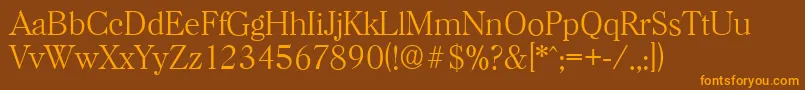 HorshamserialXlightRegular Font – Orange Fonts on Brown Background