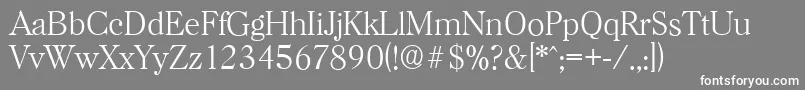HorshamserialXlightRegular Font – White Fonts on Gray Background