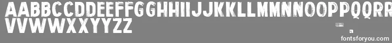 PersonalServices Font – White Fonts on Gray Background