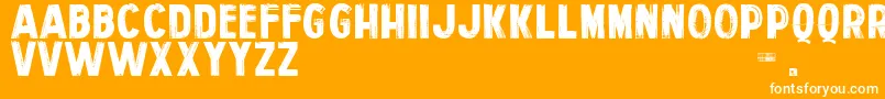 PersonalServices Font – White Fonts on Orange Background