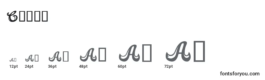 Candb Font Sizes