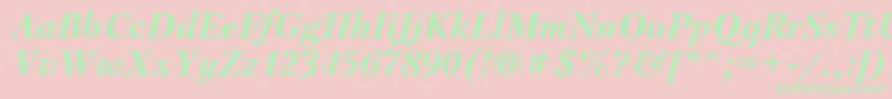 PetersburgBolditalic Font – Green Fonts on Pink Background