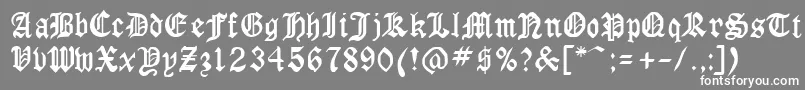 フォントGothicrusCondenced – 灰色の背景に白い文字