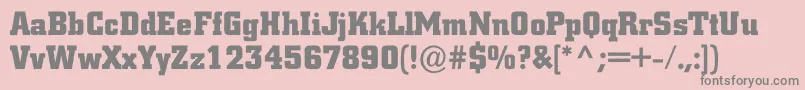ACitynovargBold Font – Gray Fonts on Pink Background