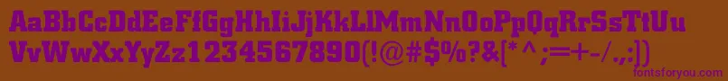 ACitynovargBold Font – Purple Fonts on Brown Background