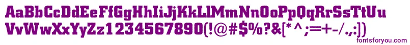 ACitynovargBold Font – Purple Fonts