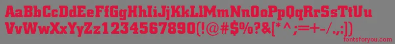 ACitynovargBold Font – Red Fonts on Gray Background