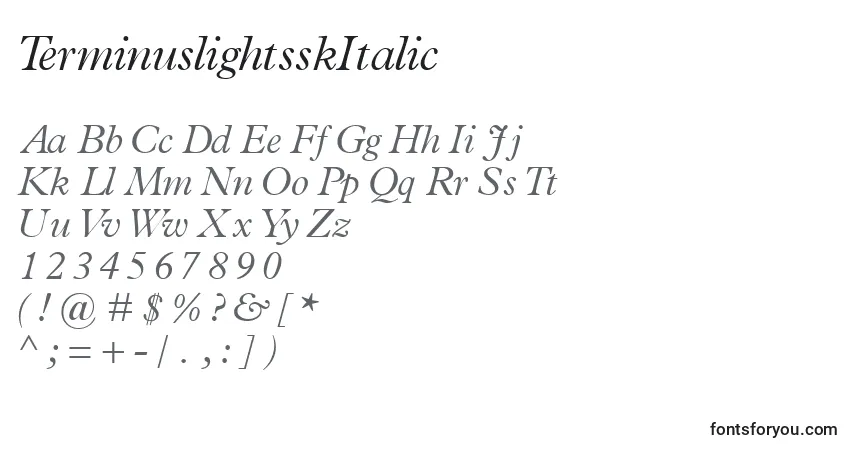 Czcionka TerminuslightsskItalic – alfabet, cyfry, specjalne znaki