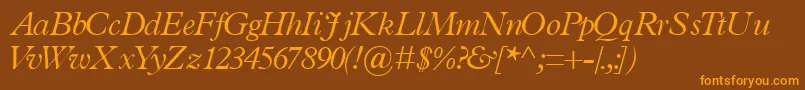 TerminuslightsskItalic Font – Orange Fonts on Brown Background