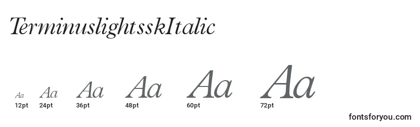 Размеры шрифта TerminuslightsskItalic