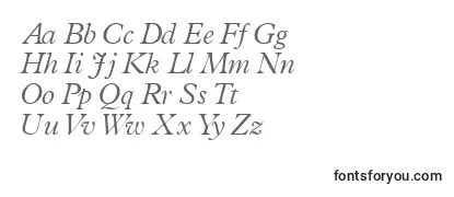 Обзор шрифта TerminuslightsskItalic