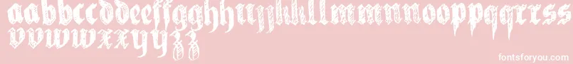 LaFraktouille Font – White Fonts on Pink Background