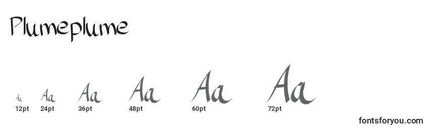 Размеры шрифта Plumeplume