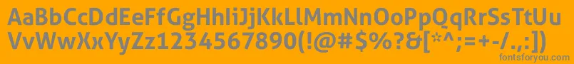 AllerStdBd Font – Gray Fonts on Orange Background