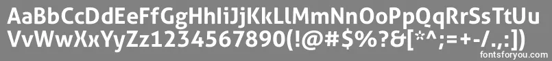 フォントAllerStdBd – 灰色の背景に白い文字