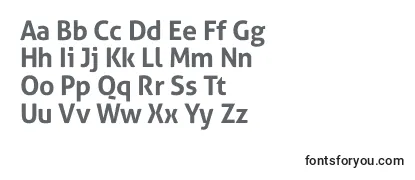 Review of the AllerStdBd Font