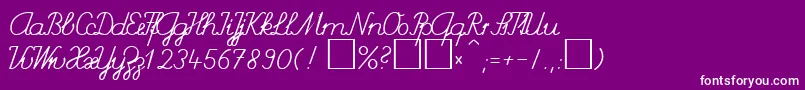 SchulschriftChDb Font – White Fonts on Purple Background