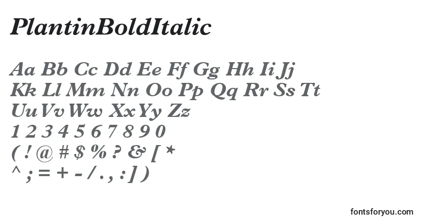 A fonte PlantinBoldItalic – alfabeto, números, caracteres especiais
