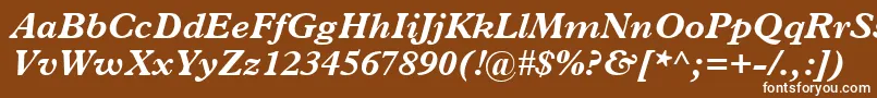 フォントPlantinBoldItalic – 茶色の背景に白い文字