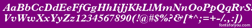 フォントPlantinBoldItalic – 紫の背景に白い文字