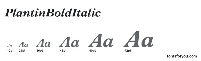 Размеры шрифта PlantinBoldItalic