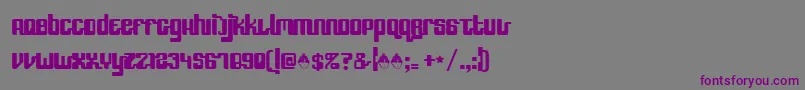 Speedfreek-fontti – violetit fontit harmaalla taustalla