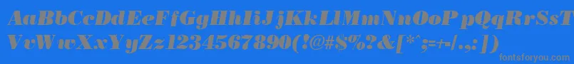 Czcionka BostonblackItalic – szare czcionki na niebieskim tle