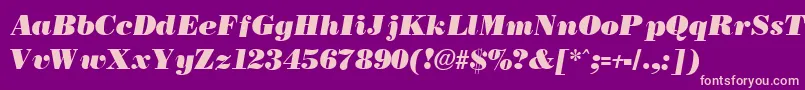BostonblackItalic Font – Pink Fonts on Purple Background