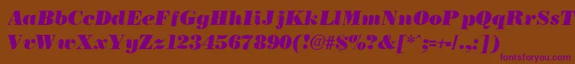 BostonblackItalic Font – Purple Fonts on Brown Background