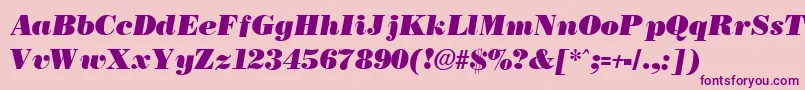 BostonblackItalic Font – Purple Fonts on Pink Background
