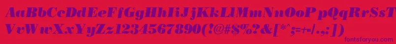BostonblackItalic Font – Purple Fonts on Red Background