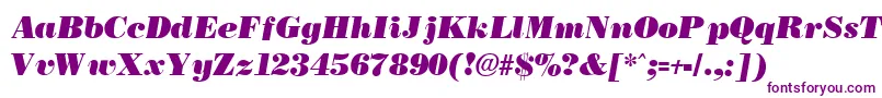 BostonblackItalic Font – Purple Fonts on White Background