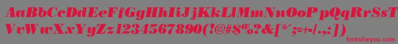 フォントBostonblackItalic – 赤い文字の灰色の背景