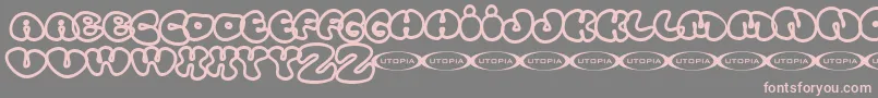 More about Tolo Font Tolo Font – Pink Fonts on Gray Background