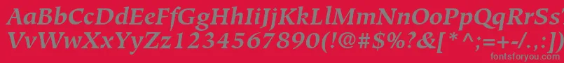 GlossarySsiBoldItalic-Schriftart – Graue Schriften auf rotem Hintergrund