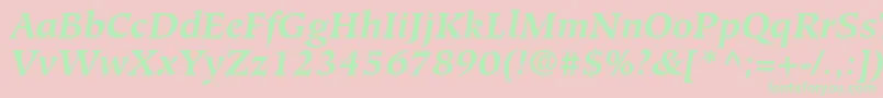 GlossarySsiBoldItalic Font – Green Fonts on Pink Background