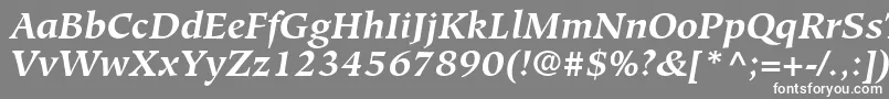 フォントGlossarySsiBoldItalic – 灰色の背景に白い文字