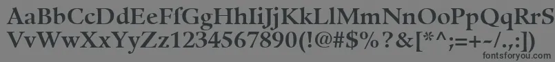 フォントGuardiLt75Bold – 黒い文字の灰色の背景