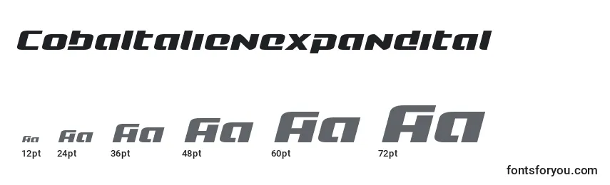 Cobaltalienexpandital Font Sizes