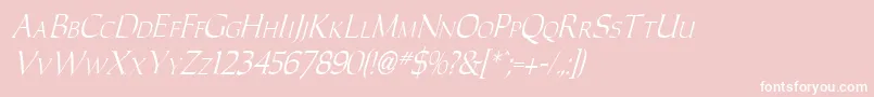 CarolusItalic Font – White Fonts on Pink Background