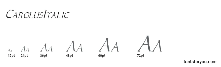 Размеры шрифта CarolusItalic