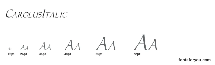 Tamanhos de fonte CarolusItalic