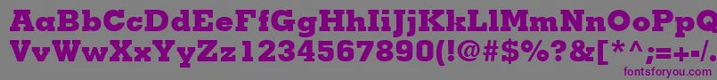 Шрифт MemphisLtExtraBold – фиолетовые шрифты на сером фоне
