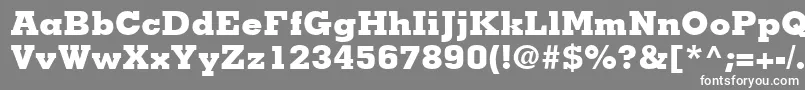 MemphisLtExtraBold Font – White Fonts on Gray Background