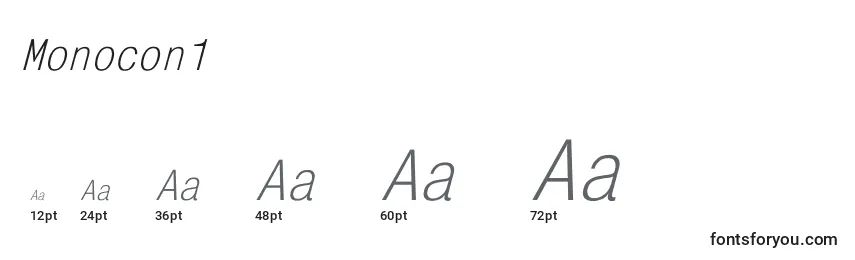 Monocon1 Font Sizes