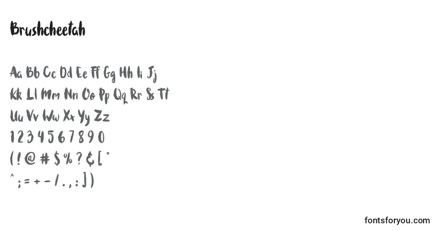 Schriftart Brushcheetah – Alphabet, Zahlen, spezielle Symbole