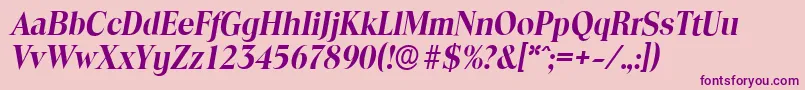 ToledoserialBolditalic Font – Purple Fonts on Pink Background