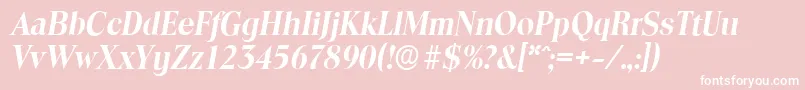 ToledoserialBolditalic Font – White Fonts on Pink Background