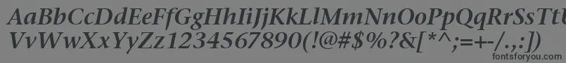 フォントStoneSerifItcSemiItalic – 黒い文字の灰色の背景