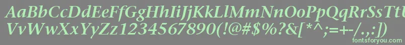 StoneSerifItcSemiItalic Font – Green Fonts on Gray Background